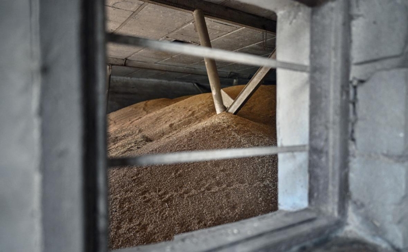 ЕС рассматривает введение пошлины на пшеницу из России. Что это значит