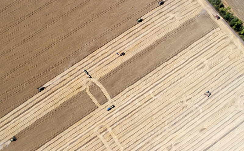 ЕС рассматривает введение пошлины на пшеницу из России. Что это значит