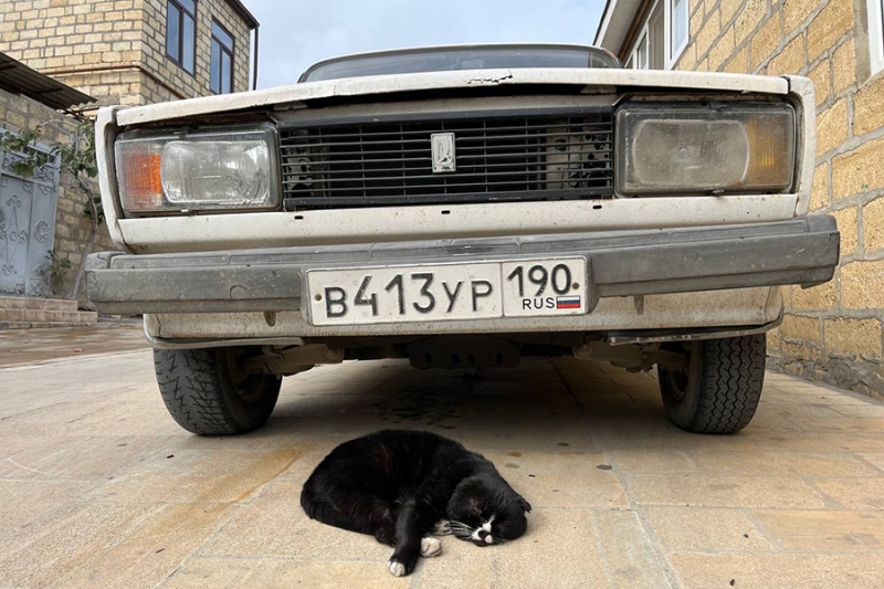 «Это же наши люди». Как евреи и мусульмане живут в одном дворе