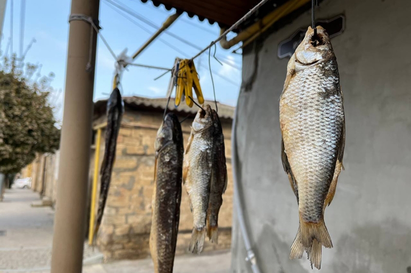 «Это же наши люди». Как евреи и мусульмане живут в одном дворе