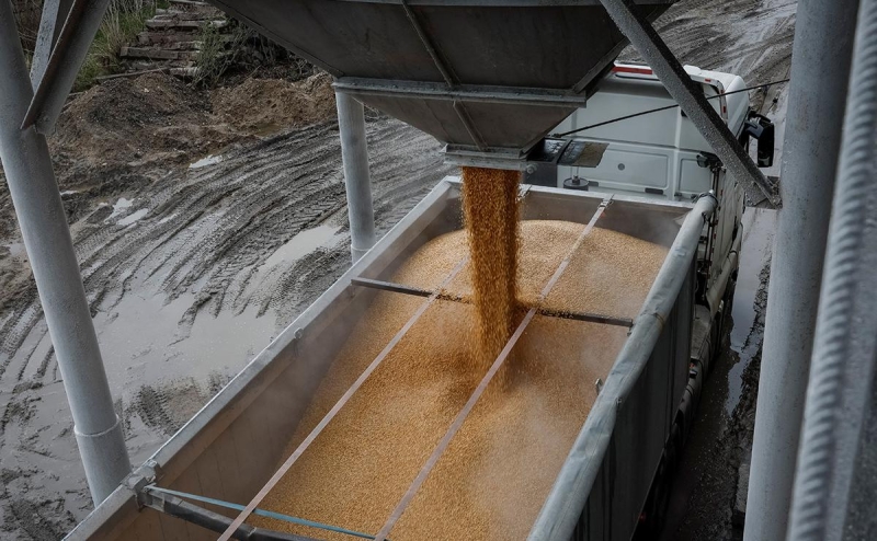 Еврокомиссия договорилась об ограничении экспорта украинского зерна