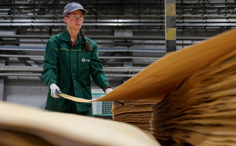 Еврокомиссия ввела антидемпинговые пошлины на фанеру из России