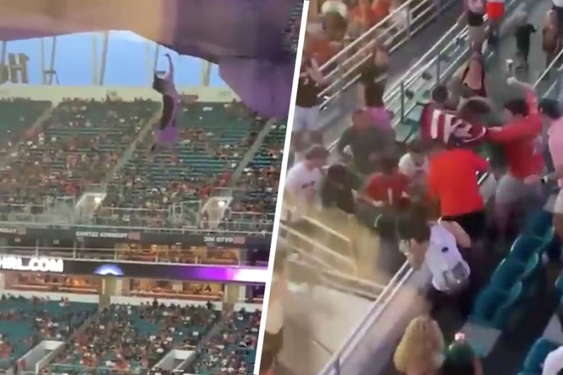 Фанаты на&nbsp;матче в&nbsp;Майами спасли кота, сорвавшегося с&nbsp;верхнего яруса стадиона