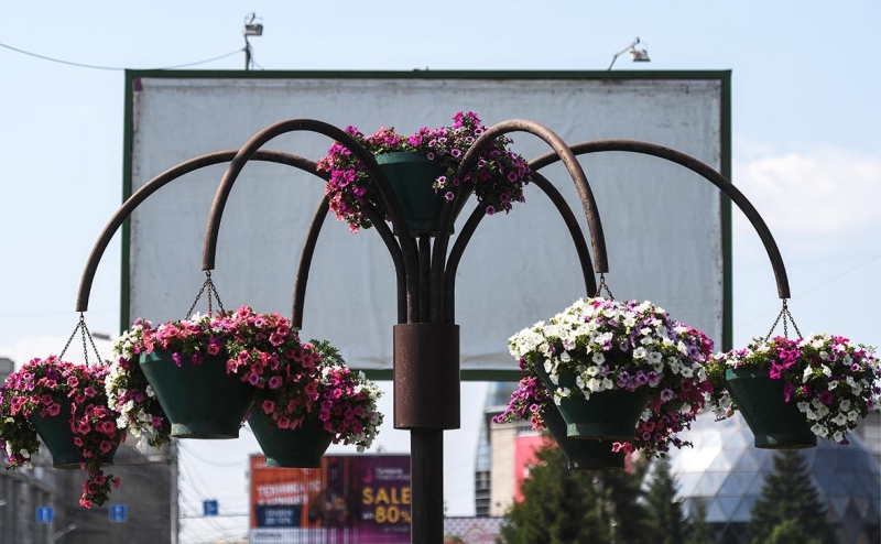 ФАС проверит новый вид рекламы букмекеров