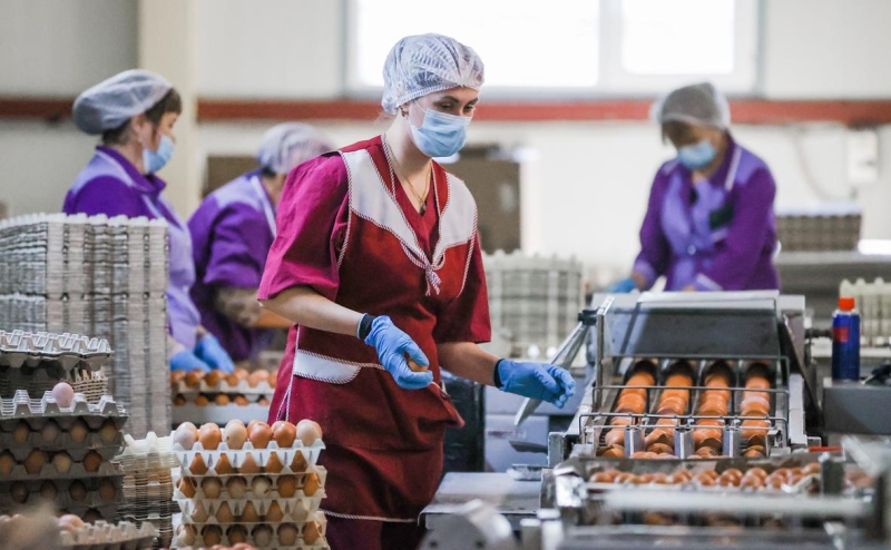 Финляндия отказалась поставлять яйца США