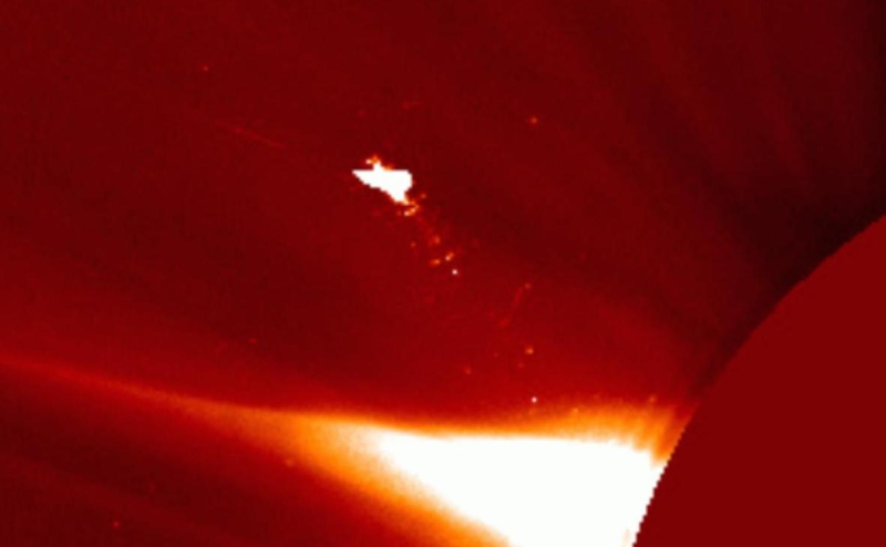 Физик объяснил огромную «птицу» у Солнца