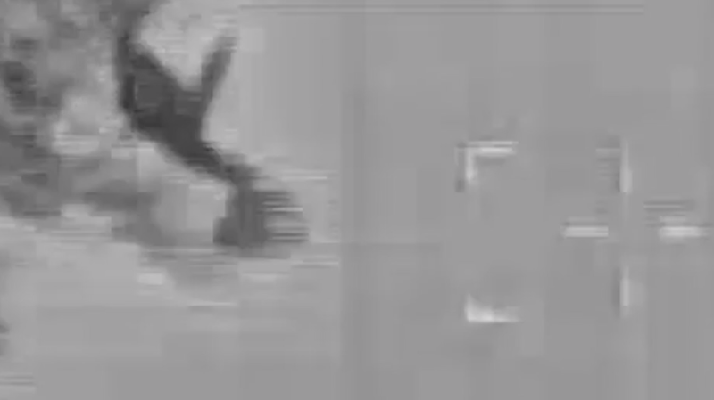 Fox News узнал, как Израиль обманом собрал иранских командиров для