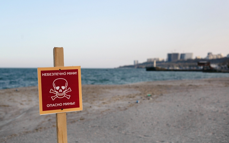 Франция заявила о готовности участвовать в разблокировке порта Одессы