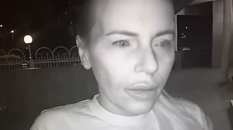 ФСБ показала, как подозреваемая в убийстве дочери Дугина перешла границу