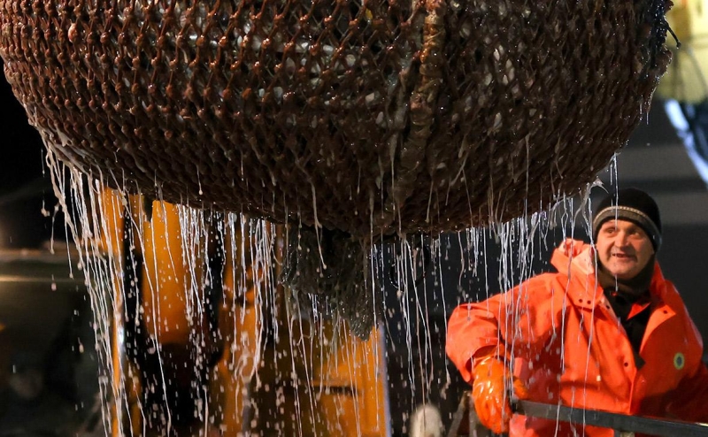 ФСБ пришла с проверкой в рестораны White Rabbit Зарькова из-за крабов