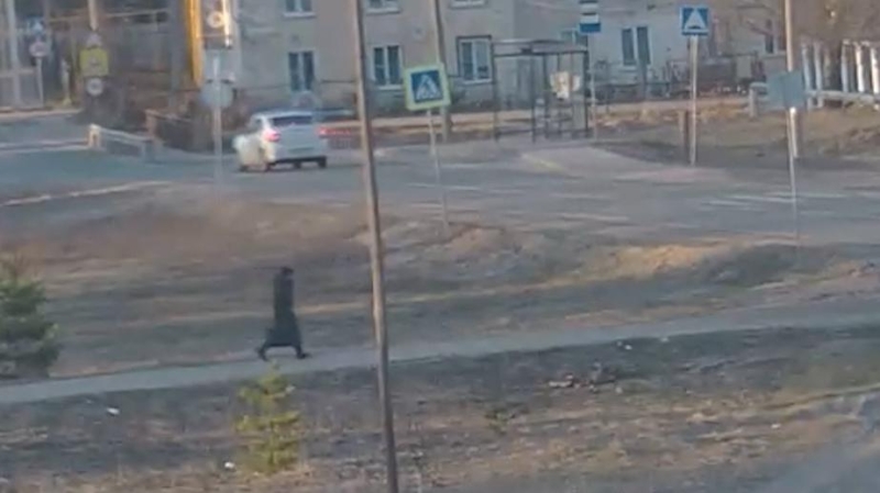 ФСБ заявила о предотвращении теракта с дронами в Нижегородской области