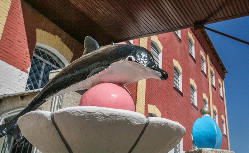 ФСИН начала проверку после жалоб заключенных &laquo;Черного дельфина&raquo; на