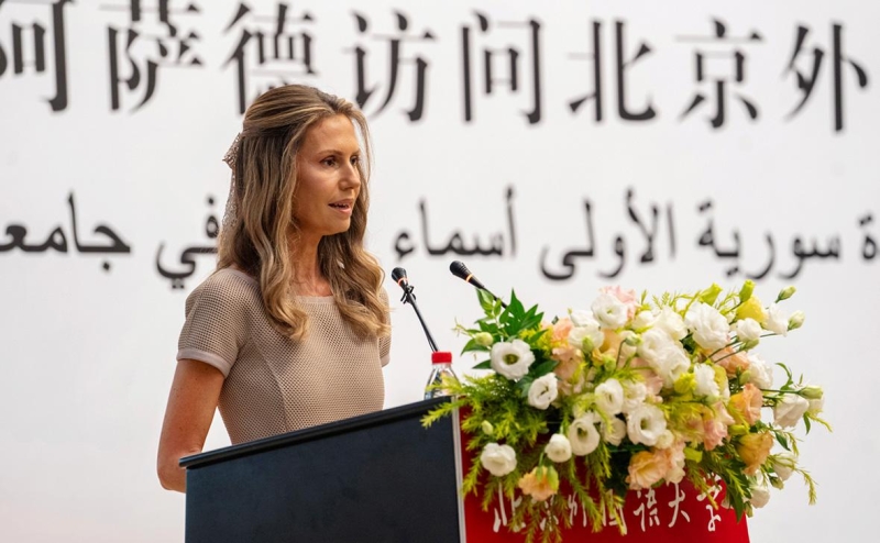 FT узнала о последней перед отъездом из Сирии попытке Асада спасти