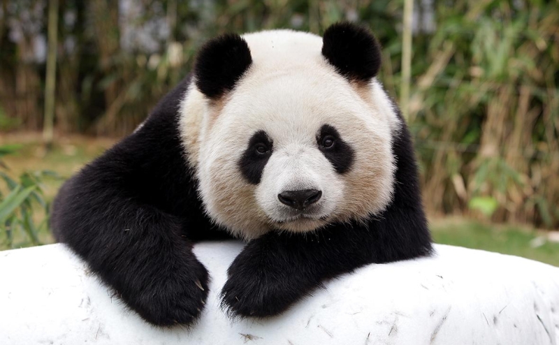 Где еще в 2026 году могут усилиться межгосударственные конфликты