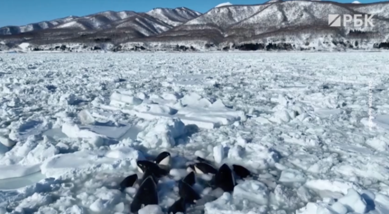 Генерал уволился из ФТС после скандального задержания
