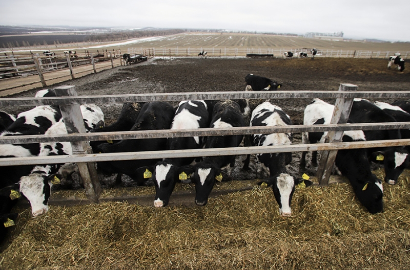 Генпрокуратура подала иск к экс-премьеру Карачаево-Черкесии на ₽41