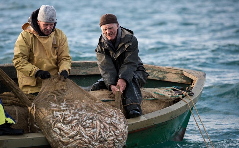 Генпрокуратура проверит работу МЧС после разлива мазута в Черном&nbsp;море