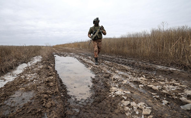 Германия сообщила, что не просила Москву отвести войска от Киева