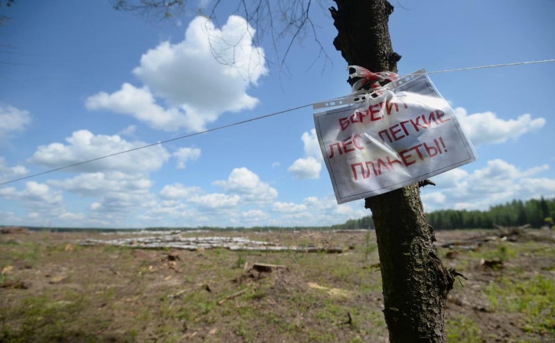 Германия в два раза увеличила поставки сигарет в Россию