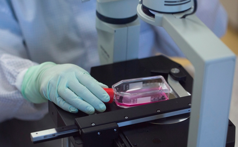 Гинцбург сообщил о сроках начала испытаний поливалентной вакцины от COVID