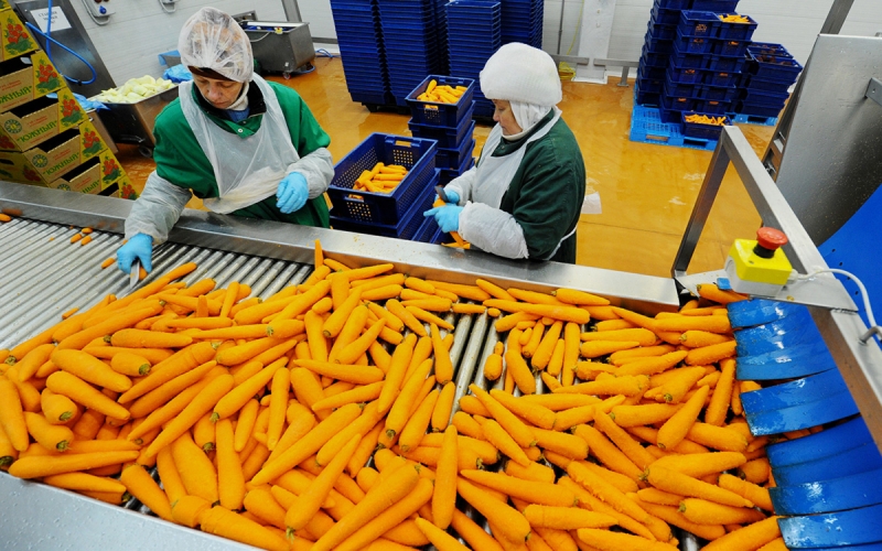 Глава &laquo;Белой Дачи&raquo; объяснил взлет цен на морковь