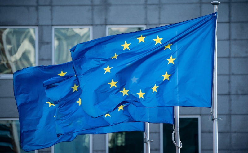 Глава делегации России счел, что ЕС не хочет вкладывать в мир на