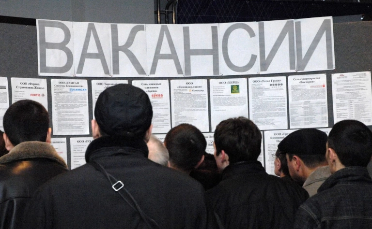 Глава ФНС предложил решить проблему кадров за счет госсектора