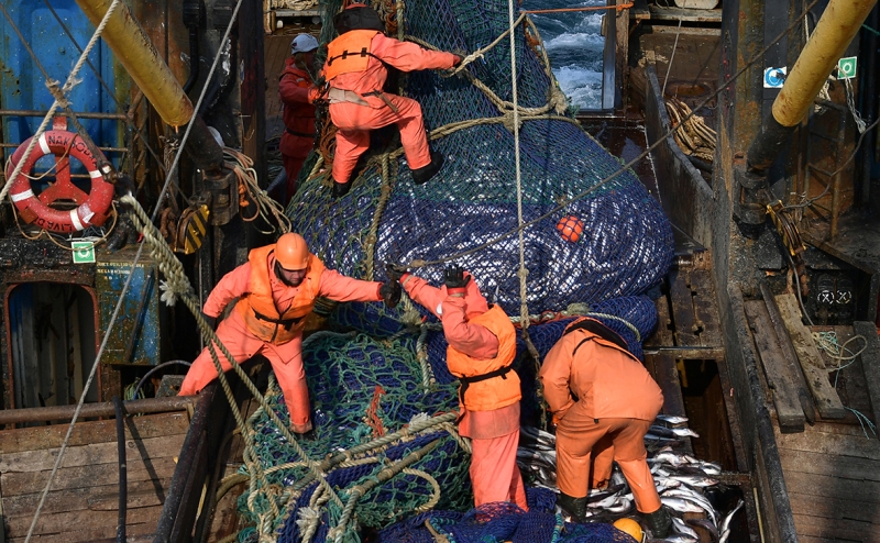 Глава «Инарктики» назвал преимущества российского лосося перед