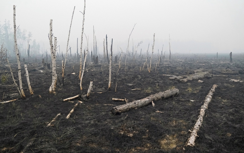 Глава Якутии попросил в разы «увеличить войска» для «войны с пожарами»