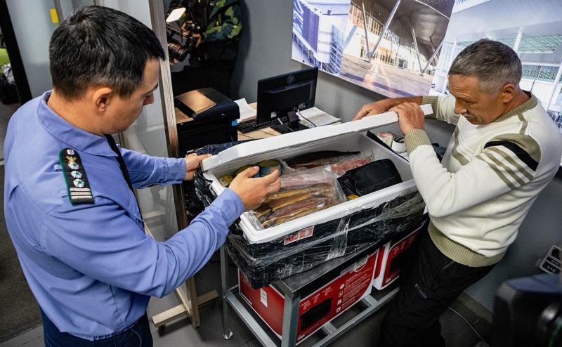 Глава Камчатки рассказал о тоннах красной икры в багаже пассажиров