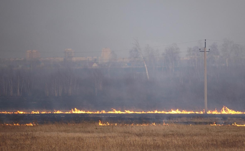 Глава МЧС вылетел в Курган из-за ситуации с лесными пожарами