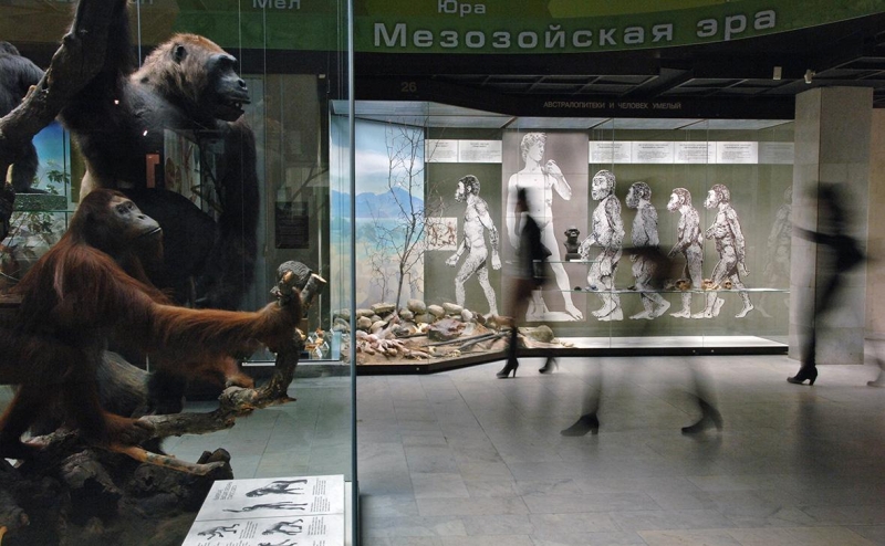 Глава патриаршей комиссии поддержал запрет на теорию Дарвина в