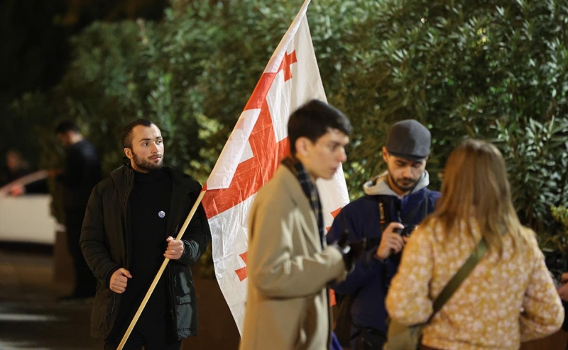 Глава правящей партии Грузии Гарибашвили объявил об уходе