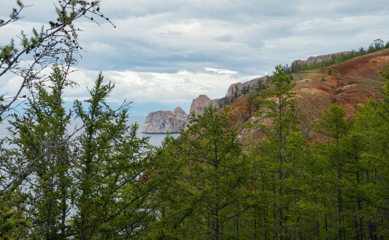 Глава СПЧ и ученые выступили против поправок к закону о рубках на
