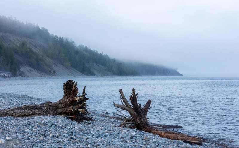 Главы байкальских регионов назвали компромиссом поправки об охране