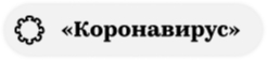 Год с начала локдауна. Главные цифры и факты начала изоляции в России