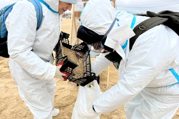 Госсекретарь США посетит Панаму после угрозы Трампа вернуть канал