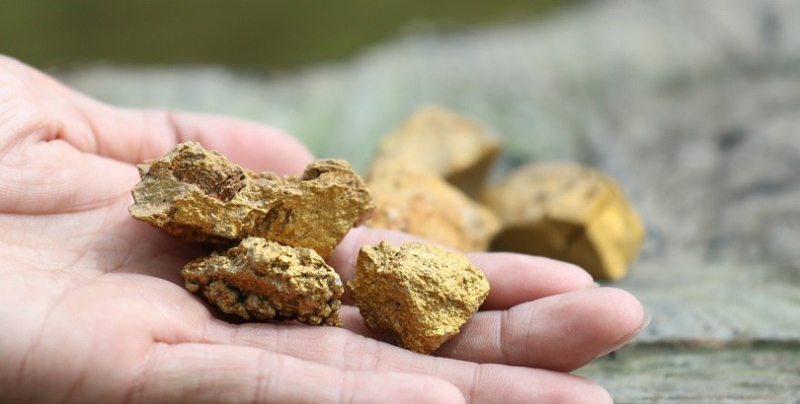 Губернатор назвал причиной ДТП с поездом и автобусом пьяного