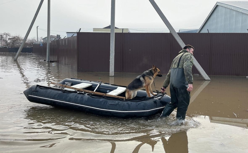 Губернатор оценил предварительный ущерб от паводка в Оренбургской