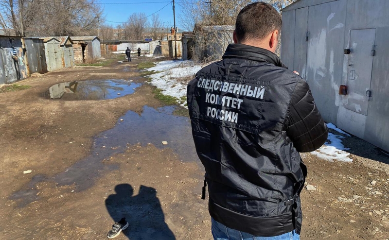 Губернатор призвал изменить закон об отлове животных после гибели