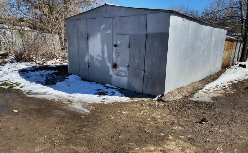 Губернатор призвал изменить закон об отлове животных после гибели