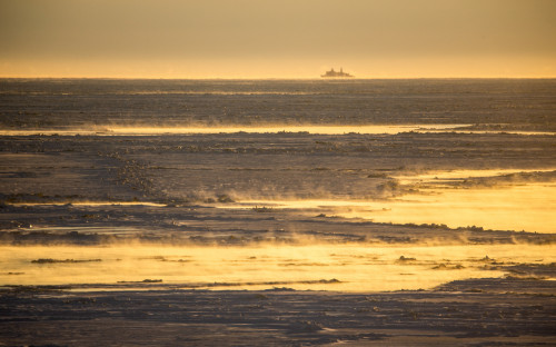 Губернаторы предложили расширить Севморпуть от Петербурга до Владивост