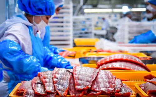 Губернаторы предложили расширить Севморпуть от Петербурга до Владивост