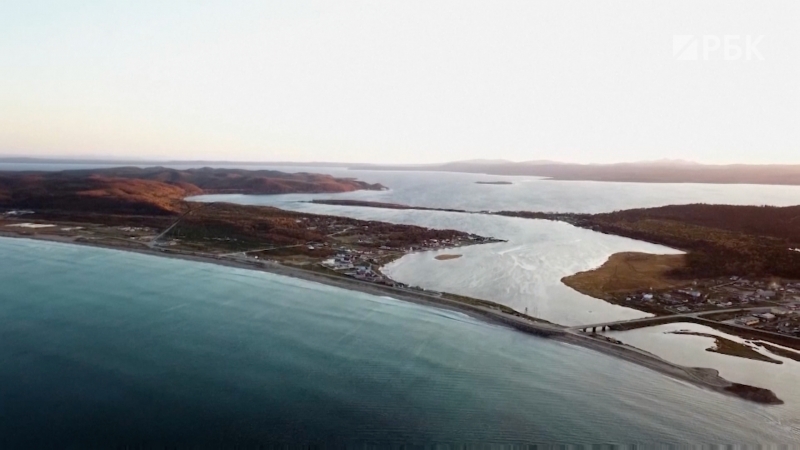 Губка для углерода: как на Сахалине хотят водорослями улучшить экологию