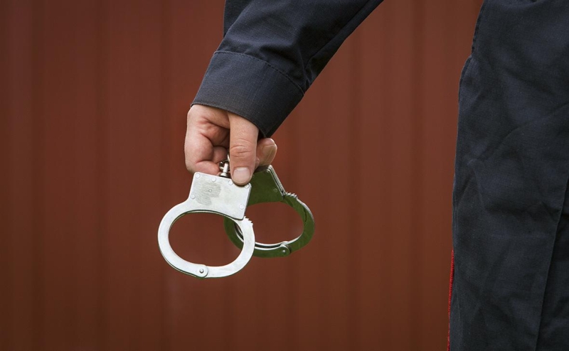 Хинштейн сообщил об аресте замглавы центра Росгвардии за мошенничество