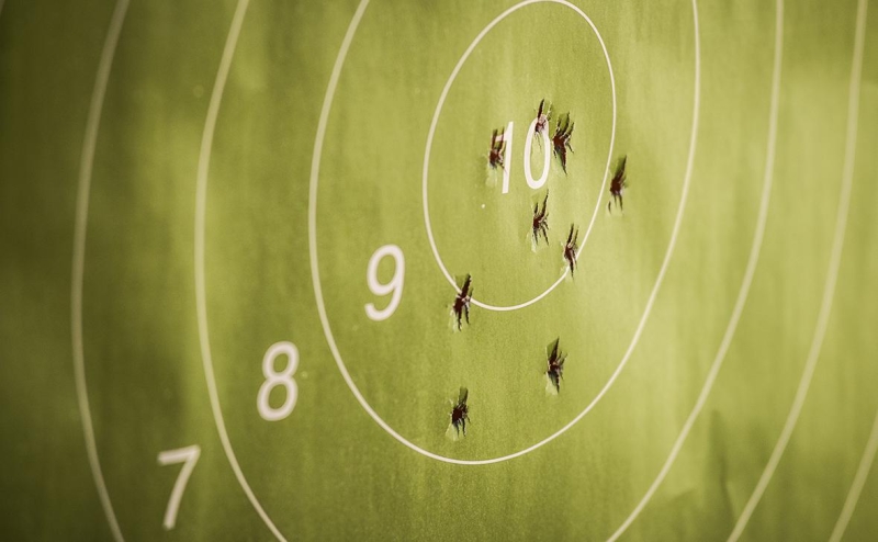 Хинштейн сообщил об отмене приказа запретить &laquo;тюнинг&raquo; оружия в