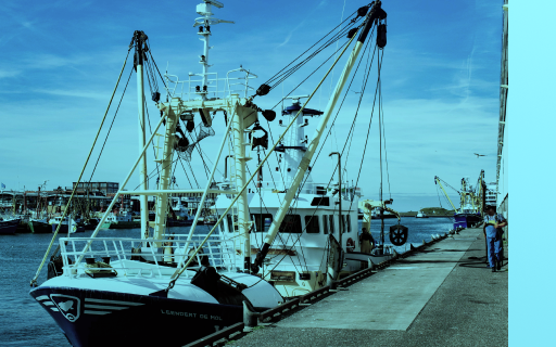 Илью Яшина перевели из ШИЗО в помещение камерного типа