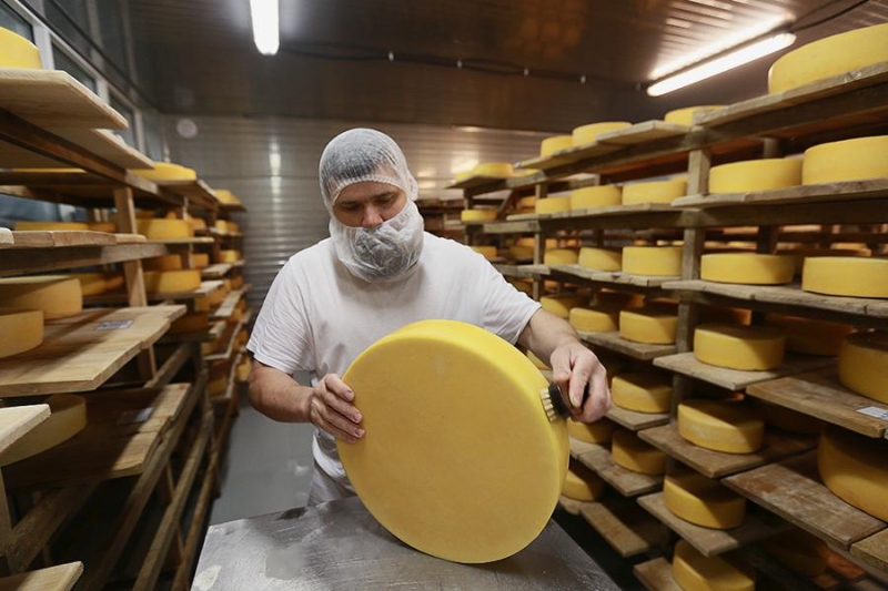 Импортозамещение: что это, какие программы есть в России