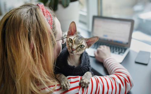 Индонезия отправит госслужащих на удаленку на Бали