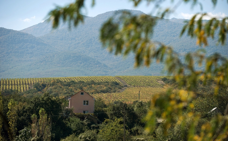 Иностранцам запретили владеть земельными участками в Крыму
